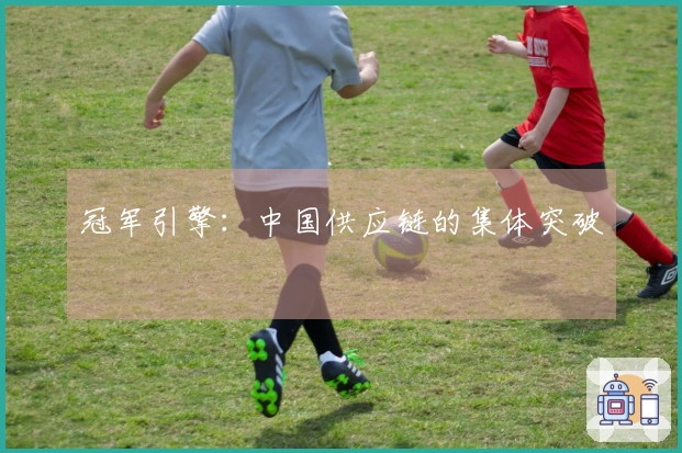 冠军引擎：中国供应链的集体突破